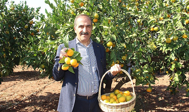 Narenciye sektörü KKTC’de görülen yeşillenme hastalığının Türkiye’ye sıçramaması için topyekûn mücadele istiyor