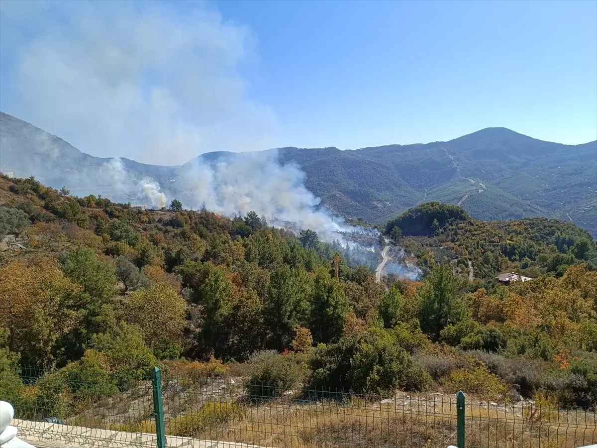 Alanya’da Zirai Yangın Kontrol Altına Alındı