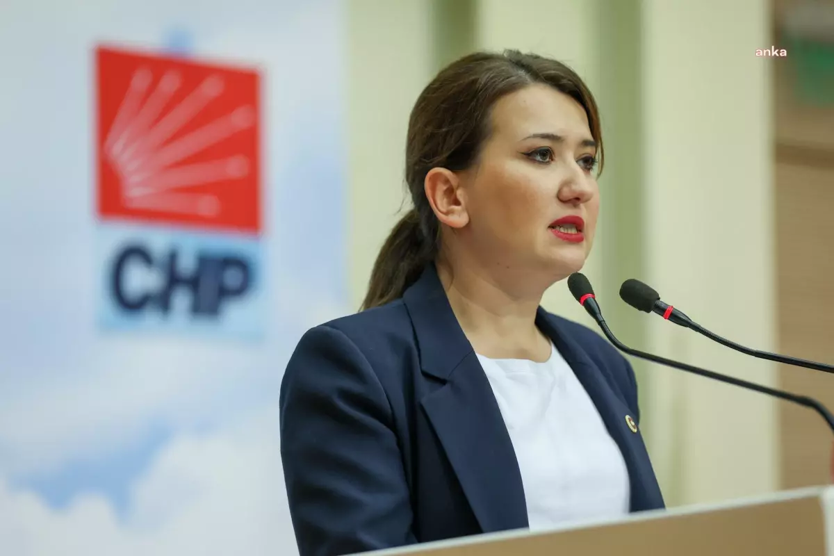 CHP’den Gülşah Durbay’a Destek: Ahlaksız İddialara Tepki