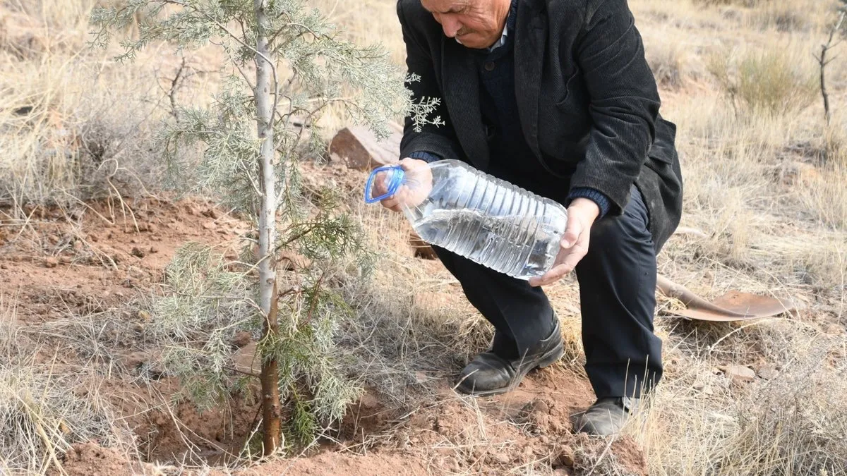 Çorak arazileri ormana dönüştürüyor: “Bu benim için hobi değil yaşam tarzı”