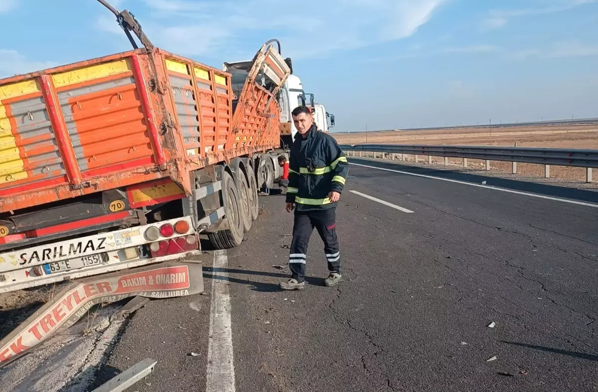 Nusaybin’de TIR Kazası: İki Büyükbaş Öldü